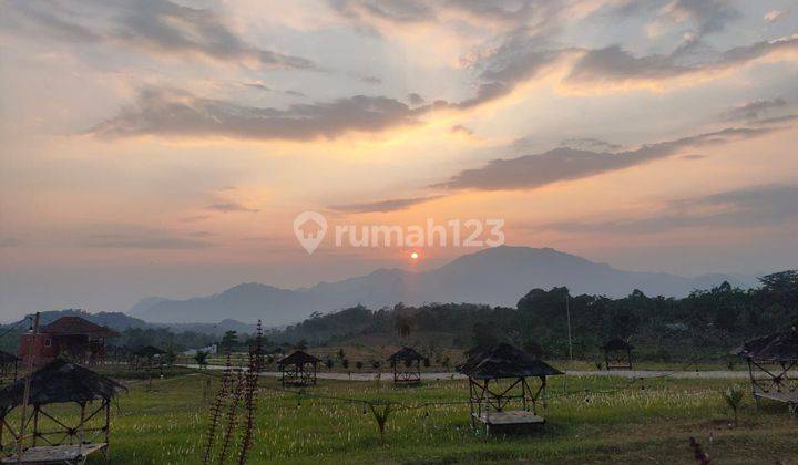 Kavlingnya para Sultan, Kavling siap bangun tanjungsari Bogor  2