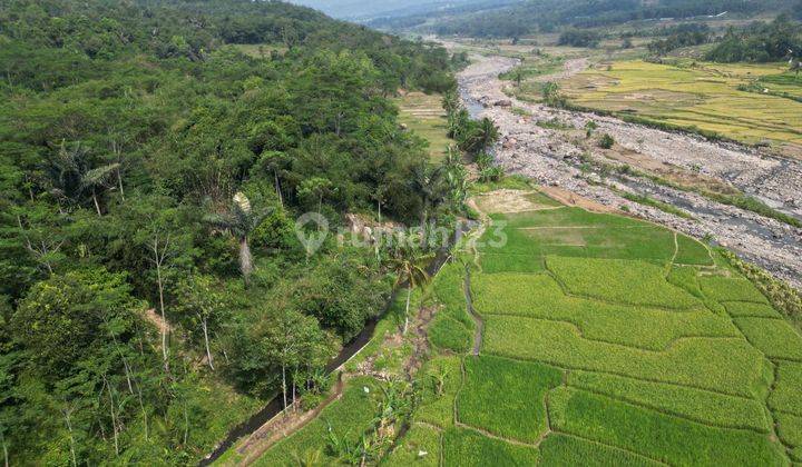 Tanah Kavling Kampung Wisata Sukamakmur Bogor investasi cerdas  1