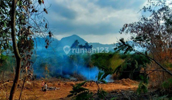 Tanah Kavling Kampung Wisata Sukamakmur Bogor investasi cerdas  2