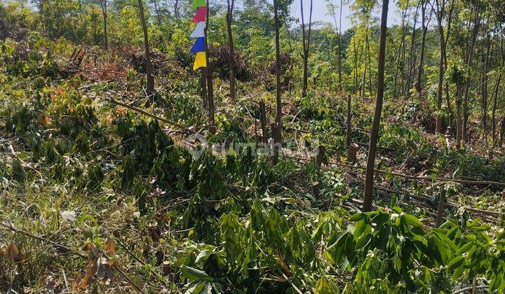 Tanah kavling konsep rumah taman, Tanah Luas Mewah di bogor  1