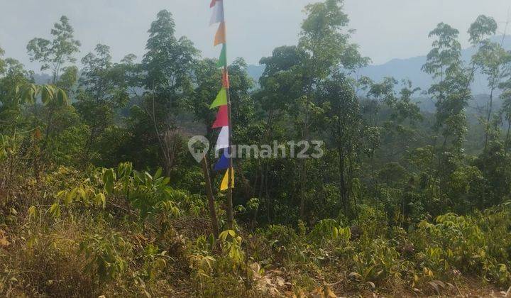 Tanah kavling konsep rumah taman, Tanah Luas Mewah di bogor  2