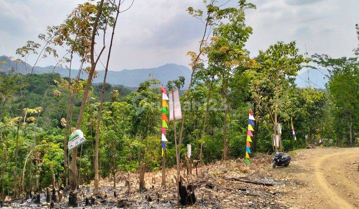 Kavling termurah SENUSANTARA Green Buana village  menguntungkan  1