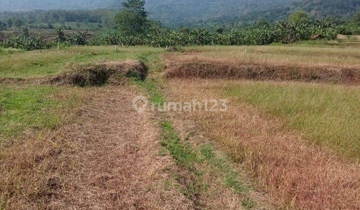 Tanah Murah Nempel Projek UPN Bogor View Indah & Sejuk  Nyaman  1