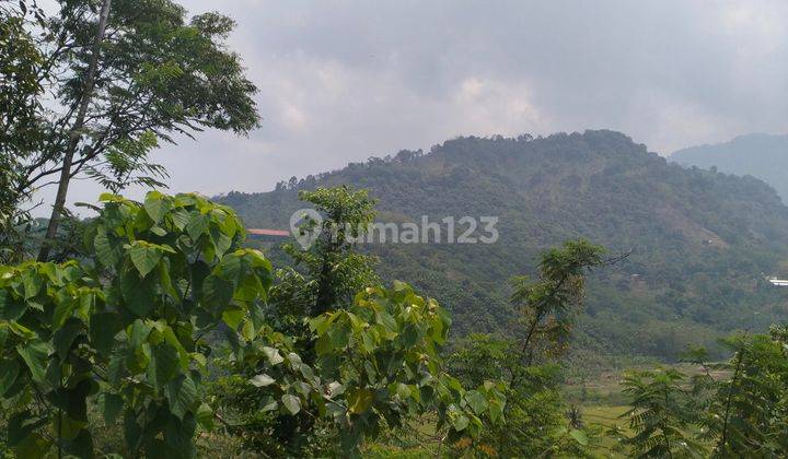 Tanah Kavling Konsep Rumah Kebun Legalitas Aman Cocok Buat Vila 1