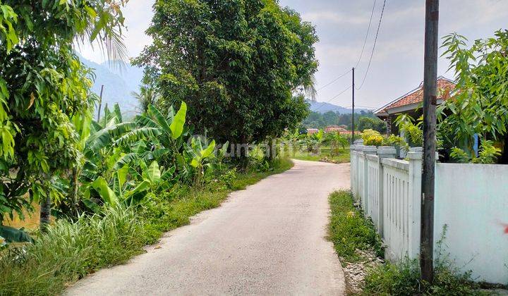 Tanah Datar Murah Bisa Di Bikin Sawah Bisa Di Bangun Rumah  BU 2