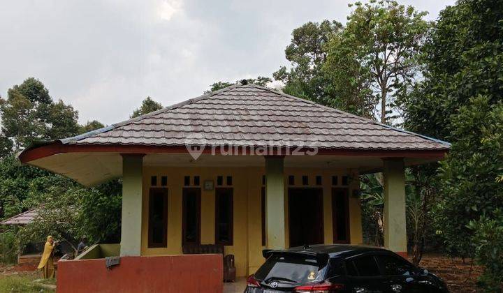 Beli Tanah Bonus Rumah Villa,Bnus Dua Gazebo  Pohon Siap  Panen 1