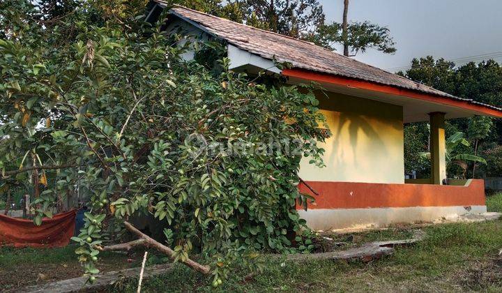 Tanah Kebun Durian Siap Panen Dengan Hunian Villa Siap Huni BU 1