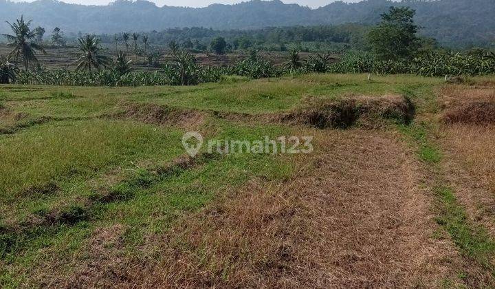 Tanah Murah Nempel Projek UPN Bogor View Indah & Sejuk  Nyaman  2