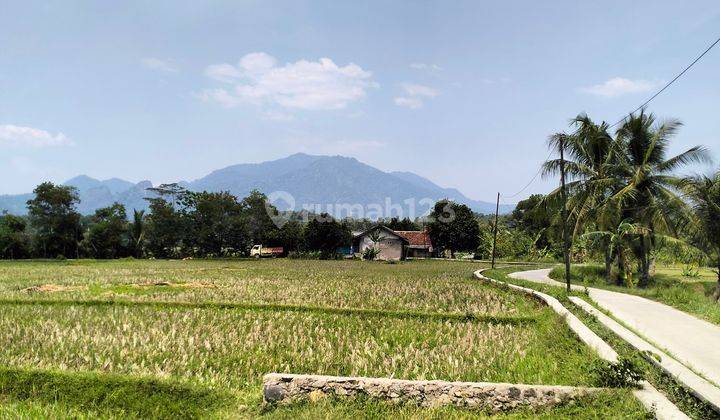 Tanah Datar Murah Bisa Di Bikin Sawah Bisa Di Bangun Rumah  BU 1