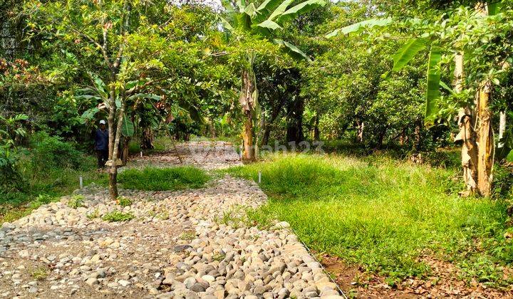 Tanah Kavling Kebun Sawo Sudah Shm Konsep Rumah Kebun Dan Villa 2