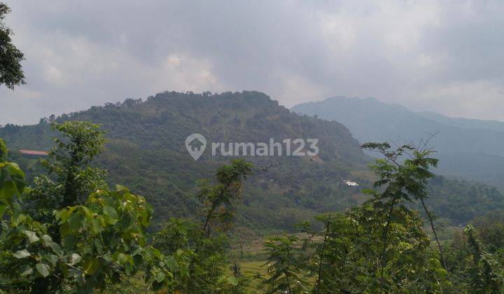 Tanah Kavling Konsep Rumah Kebun Legalitas Aman Cocok Buat Vila 2