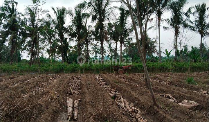 Tanah Nempel Jalan Listrik Air Telah Tersesdia View  Pegunungan 1