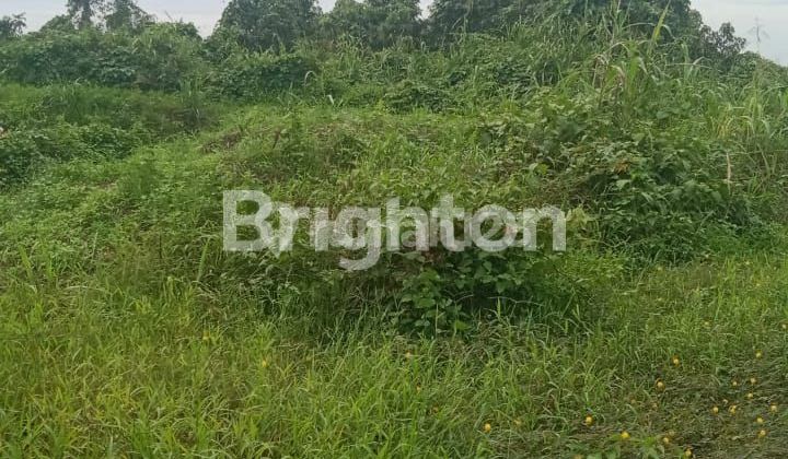 Tanah 50 hektare diarea pengembangan kota samarinda Tanah 50 hektare diarea pengembangan kota samarinda