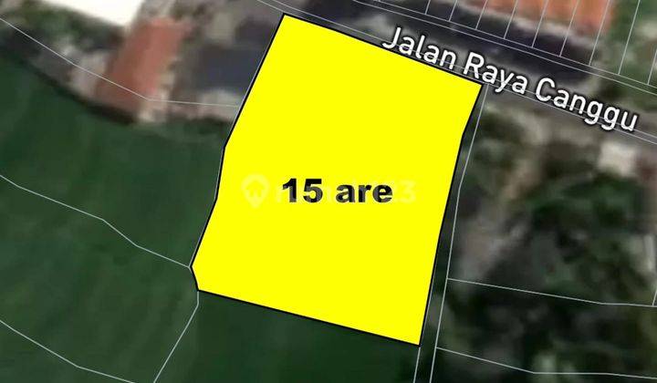 Land for rent on Jl. Raya Canggu, Pererenan 2