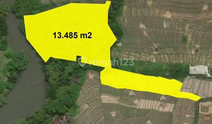 Dijual Tanah Premium Los Sungai di Cemagi 1