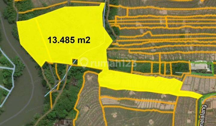 Dijual Tanah Premium Los Sungai di Cemagi 2