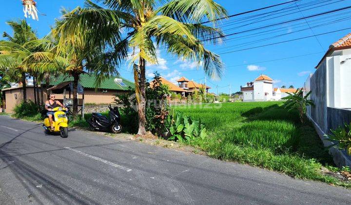Disewakan Tanah Premium di Pinggir Jalan Umalas I  2