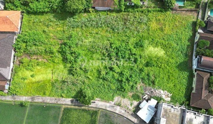 Land For Lease In Kedungu With Ocean View 1