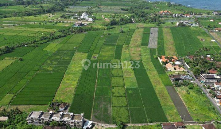 Land For Lease In Kedungu With Ocean View 2