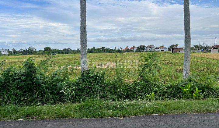 Disewakan Sebidang Tanah Kosong Terletak di Jl. Pantai Kedungu 1