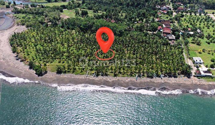 Dijual Tanah Beach Front di Pantai Melaya Jembrana, Bali 1