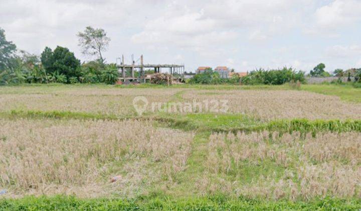 Under Market Commercial Land In Main Street Nyanyi Beach Tabanan Bali 2