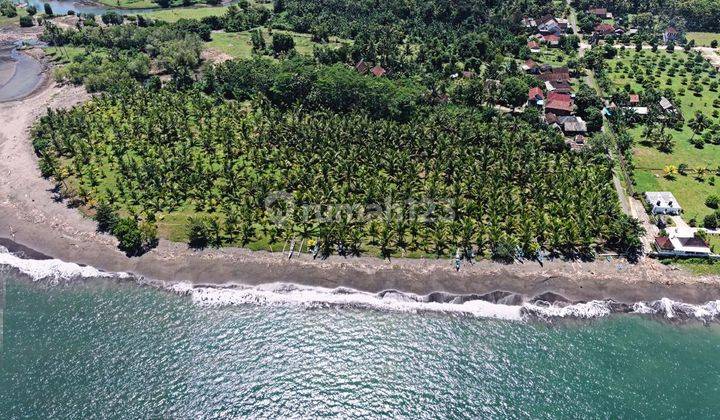 Dijual Tanah Beach Front di Pantai Melaya Jembrana, Bali 2