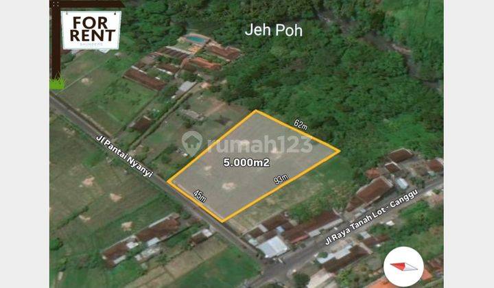 Commercial Land For Lease In Main Street Nyanyi Beach Tabanan Bali 1