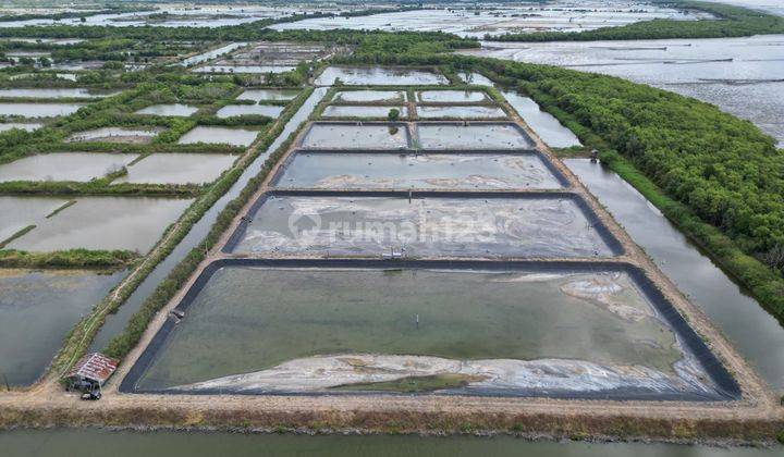Tanah HGU 195 Ha Eks Tambak Dekat Pasar Lamurukung Bone 1