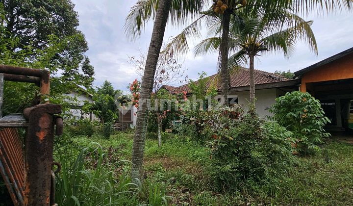 Cocok untuk Dapur Makan Bergiz Gratisi