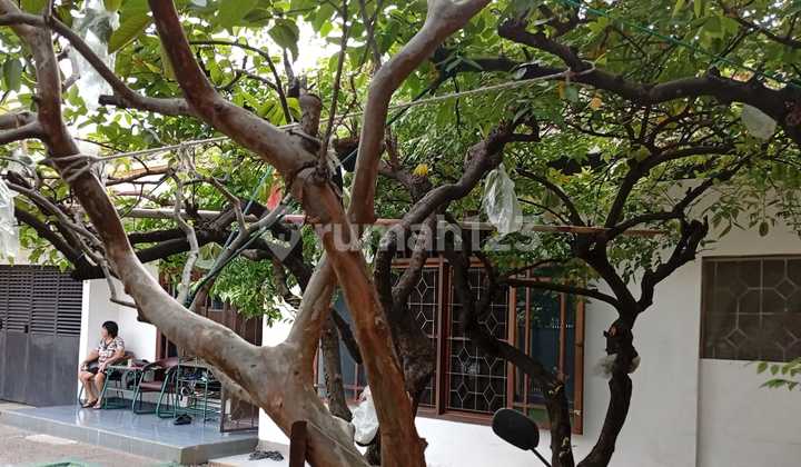 Dijual Rumah Bangunan Lama, Daerah Duri Kepa 2