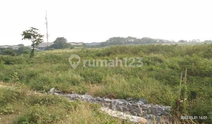 For Sale: Approximately 5 Hectares of Land Plots, Located in Alam Sutera