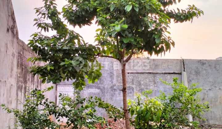 Dijual Cepat, Rumah Citra 1 Extention + Tanah Dibelakang 2