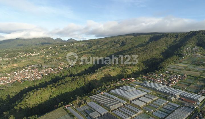 Land For Sale In Lembang Kbb, 10 Hectares 45 M. Land For Sale In Lembang Kbb, 10 Hectares 45 M.