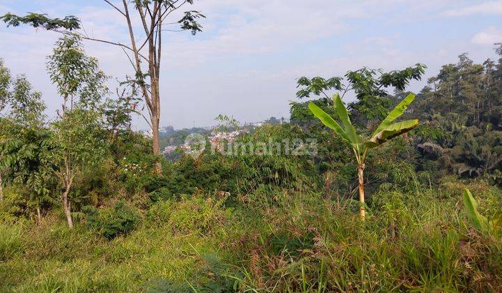 Jual Tanah  Cocok Utk Villa Kebun Lokasi Setiabudi Bandung Utara 2