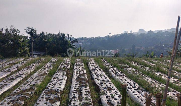 Tanah 13 hektar jalan setiabudi bandung 2