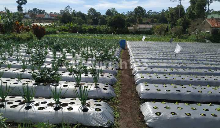 Tanah Di Cisarua Bandung Barat