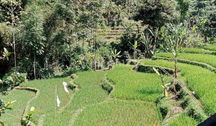 Tanah Sawah Dan Kolam Ikan Di Ujung Berung 1