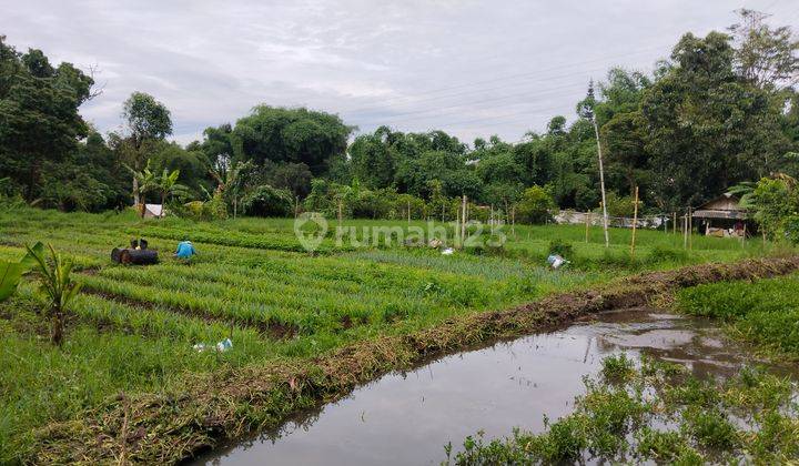 Harga Dibawah Njop Tanah Di Sayap Setiabudi Bandung Utara 2