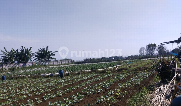 Dijual Tanah Disariwangi Bandung, View Kota Bandung Cocok Dibangun Villa Atau Perumahan