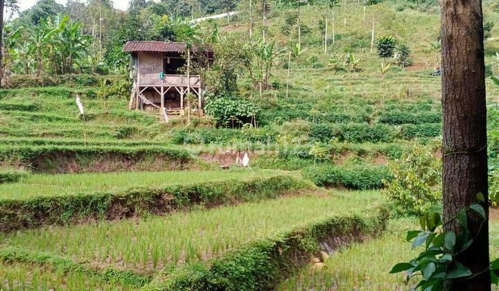 Tanah Sawah Dan Kolam Ikan Di Ujung Berung 2