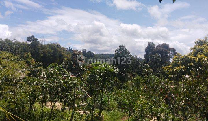 Tanah Di Cihideung Bandung Utara, View Kota Bandung 1