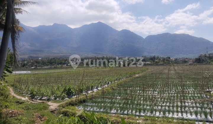Jual Tanah Area Wisata Di Garut , Harga Dibawah Pasar. Jual Tanah Area Wisata Di Garut , Harga Dibawah Pasar.