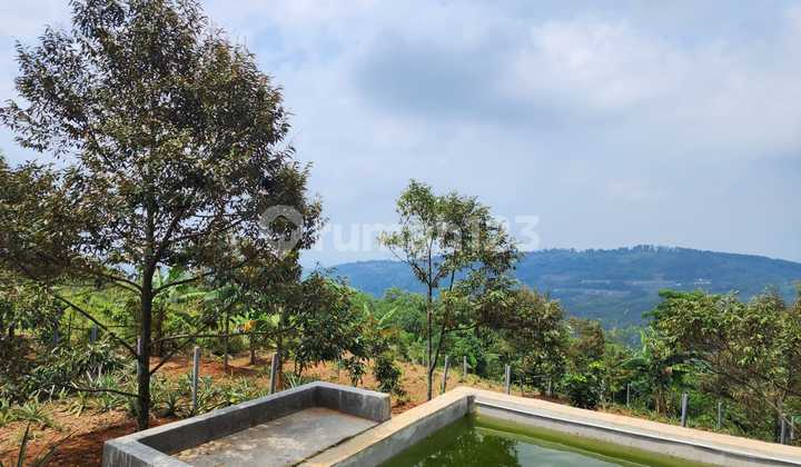 Land in Subang Near Islamic Boarding School Land in Subang Near Islamic Boarding School