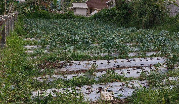 Tanah Di Cihideung Parongpong Luas 378 Meter Harga 650 Juta 2