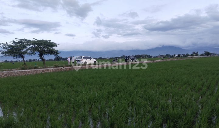 Tanah 10 Hektar Di Rancaekek Untuk Perumahan 2