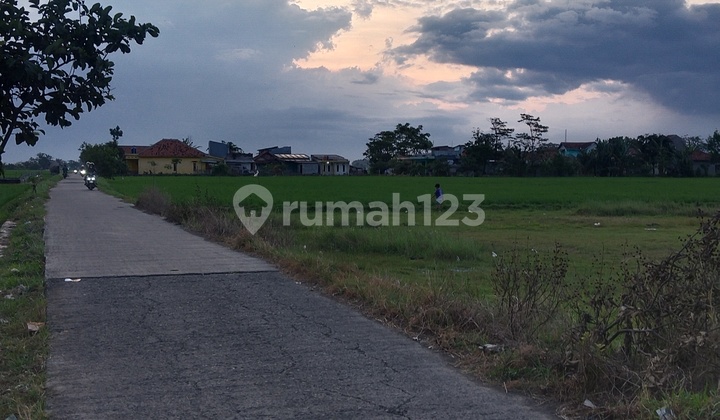 Tanah 10 Hektar Di Rancaekek Untuk Perumahan 1