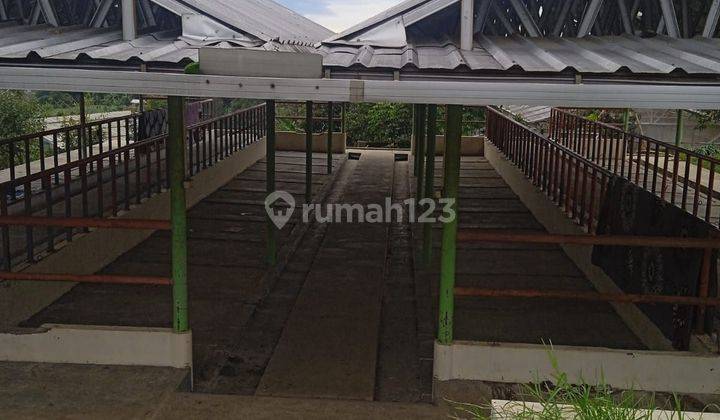 Jual Tanah 2 Hektar Ada Kandang Sapi, Lokasi Di Lembang 1