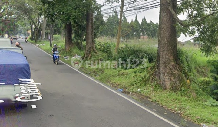 Dijual Tanah 20 Hektar di Cipanas Cianjur Dijual Tanah 20 Hektar di Cipanas Cianjur