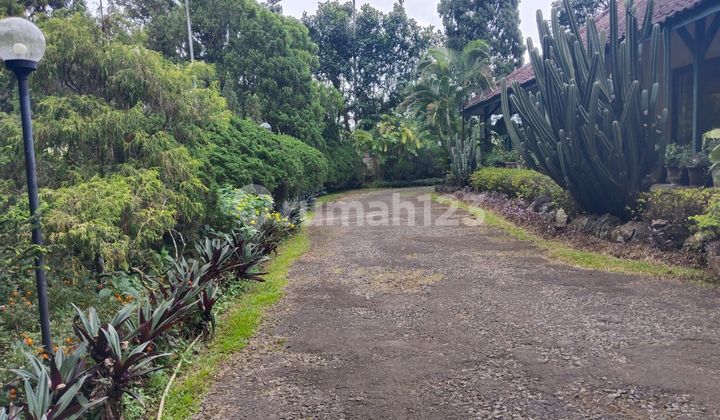 For Rent Strategic Location in Sukajadi 2